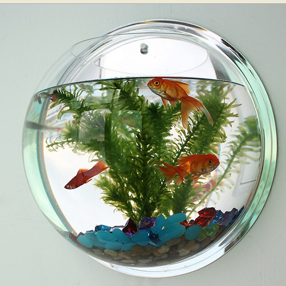 Pot Plant Wall Mounted Newest Hanging Decor Bubble Bowl