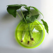Pot Plant Wall Mounted Newest Hanging Decor Bubble Bowl