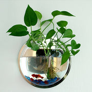 Pot Plant Wall Mounted Newest Hanging Decor Bubble Bowl