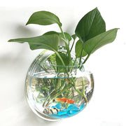 Pot Plant Wall Mounted Newest Hanging Decor Bubble Bowl