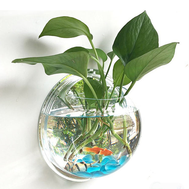 Pot Plant Wall Mounted Newest Hanging Decor Bubble Bowl