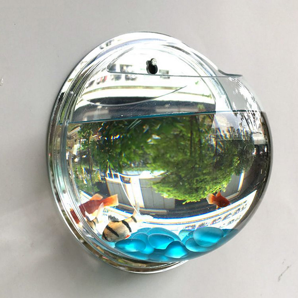 Pot Plant Wall Mounted Newest Hanging Decor Bubble Bowl